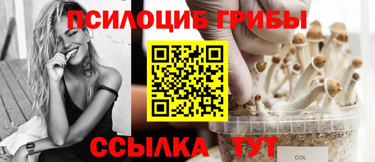Псилоцибиновые грибы прущие грибы  Вход с VPN  Азов 